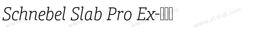 Schnebel Slab Pro Ex字体转换 Schnebel Slab Pro Ex字体转换